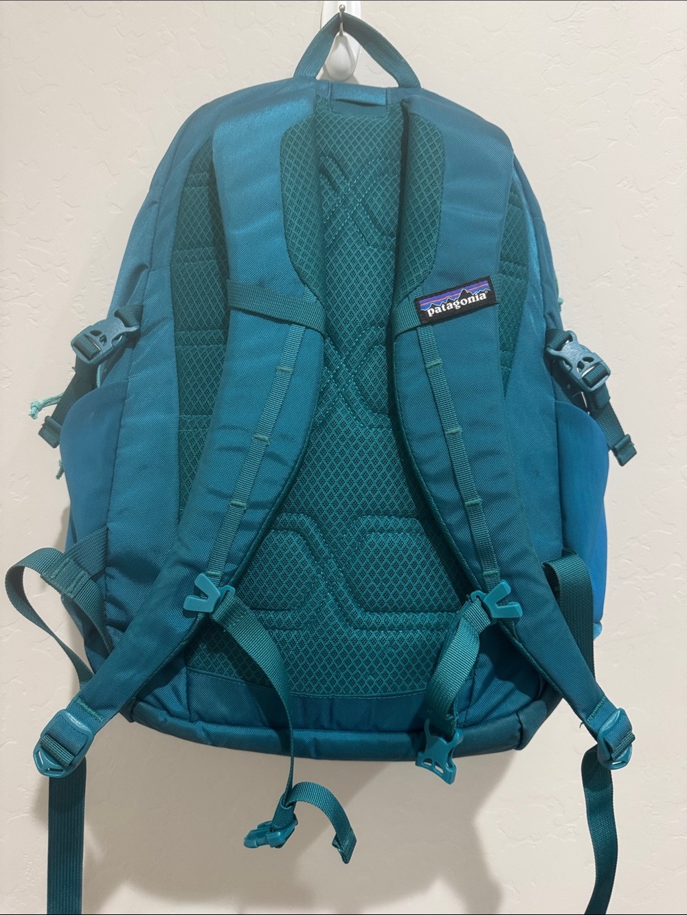 Patagonia Backpack - Picture 3 of 9